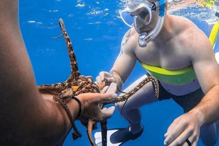 Experience the best Honolulu snorkeling with guided tours to vibrant coral reefs and marine life, perfect for all skill levels. 4