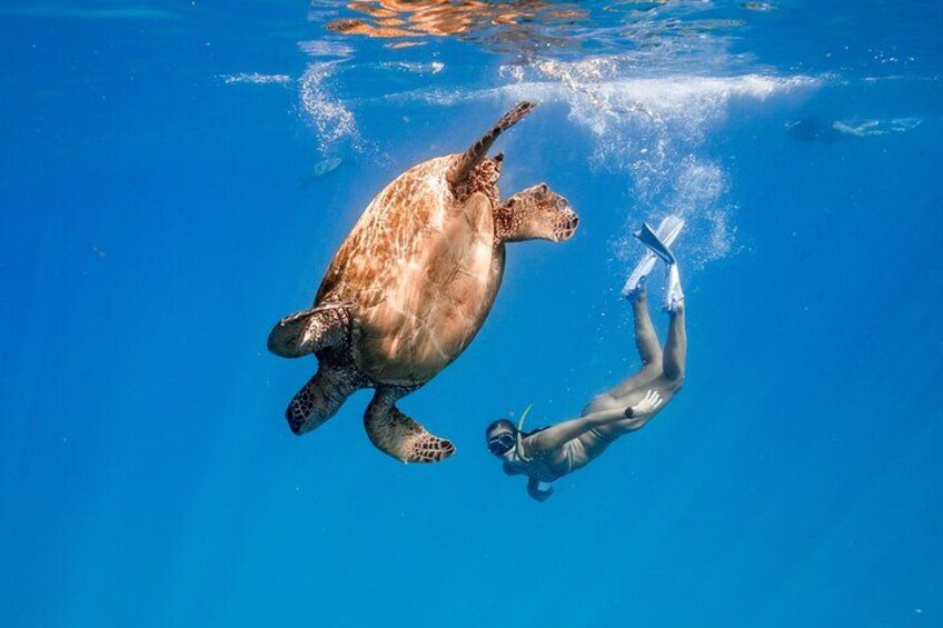 Experience the best Honolulu snorkeling with guided tours to vibrant coral reefs and marine life, perfect for all skill levels. 3