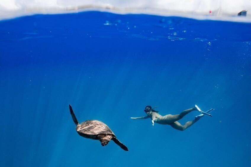 Experience the best Honolulu snorkeling with guided tours to vibrant coral reefs and marine life, perfect for all skill levels. 3