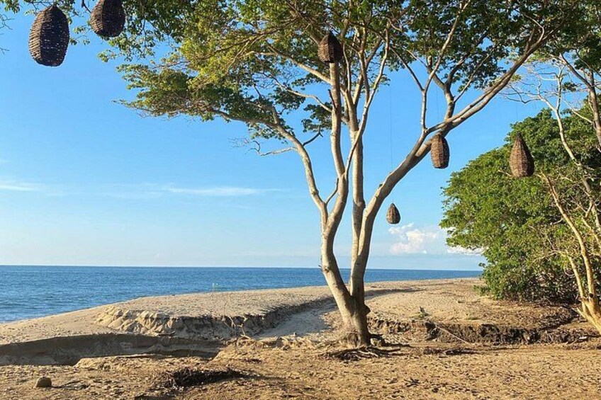 Hike and Yoga Jungle Experience in Mexico 2