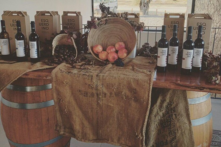 Wine Lovers: Winery Tour w/ Tasting & Tapas (Albufeira/Vilamoura) 5