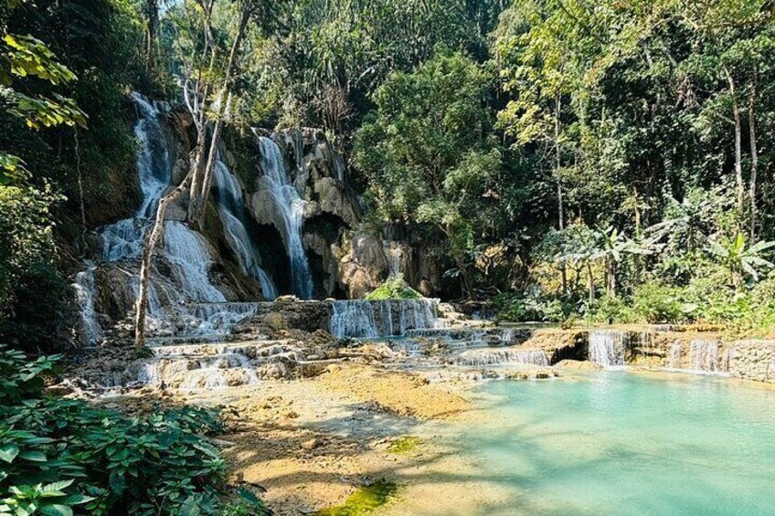 Una cascada que se precipita en una poza cristalina rodeada de un bosque denso. 3