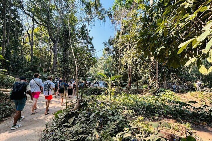 Un grupo de personas caminando por un sendero de tierra rodeado de un bosque denso. 1