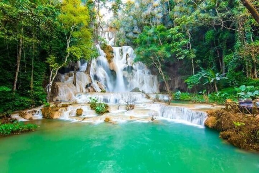 Una cascada se precipita en una piscina turquesa rodeada de exuberante vegetación. 5