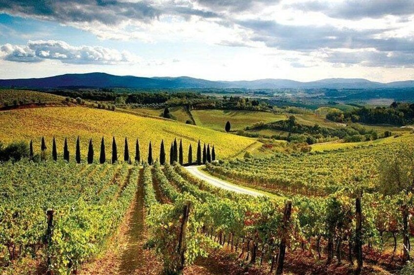 Chianti Vespa Tour 2