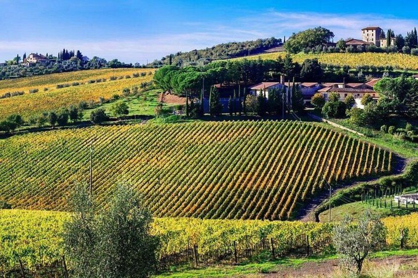 Chianti Vespa Tour 2