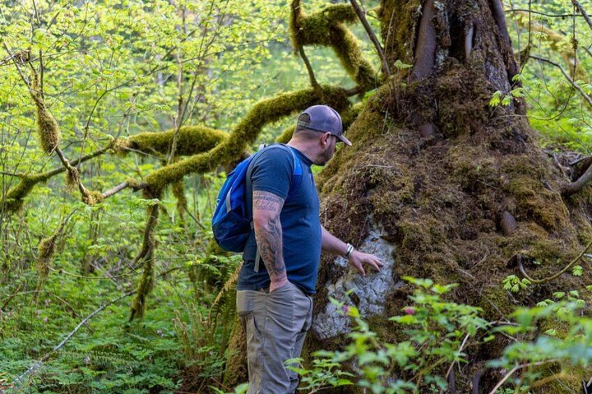 Visit Snoqualmie and Hike to Twin Falls (Transportation included) 3