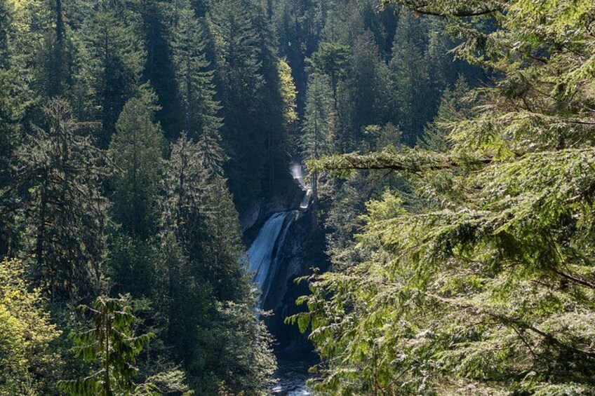 Visit Snoqualmie and Hike to Twin Falls (Transportation included) 5