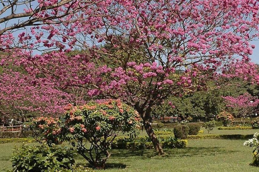 Garden City Tour from Bengaluru 5