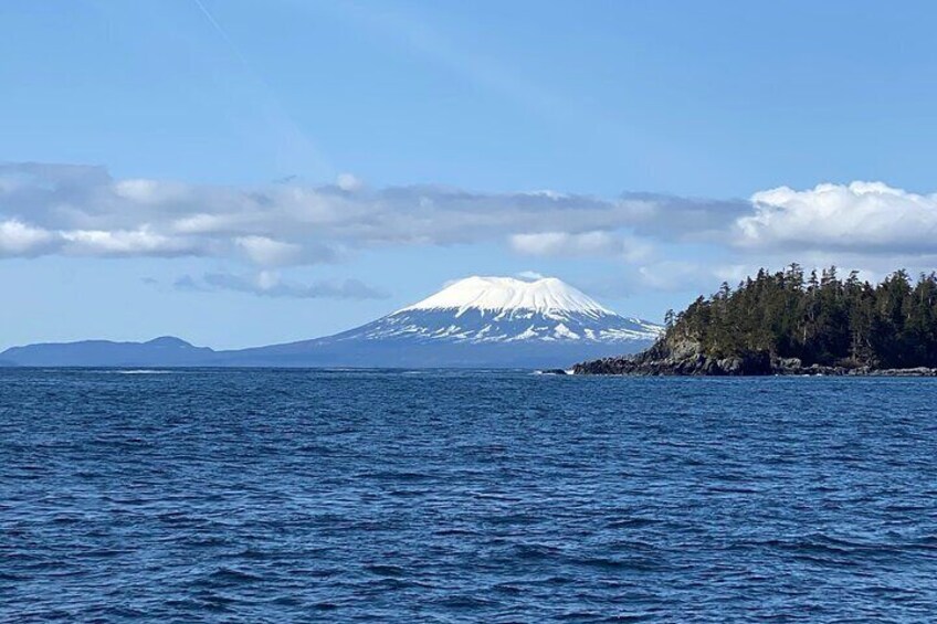 Una montaña nevada, una isla boscosa y un mar tranquilo. 5