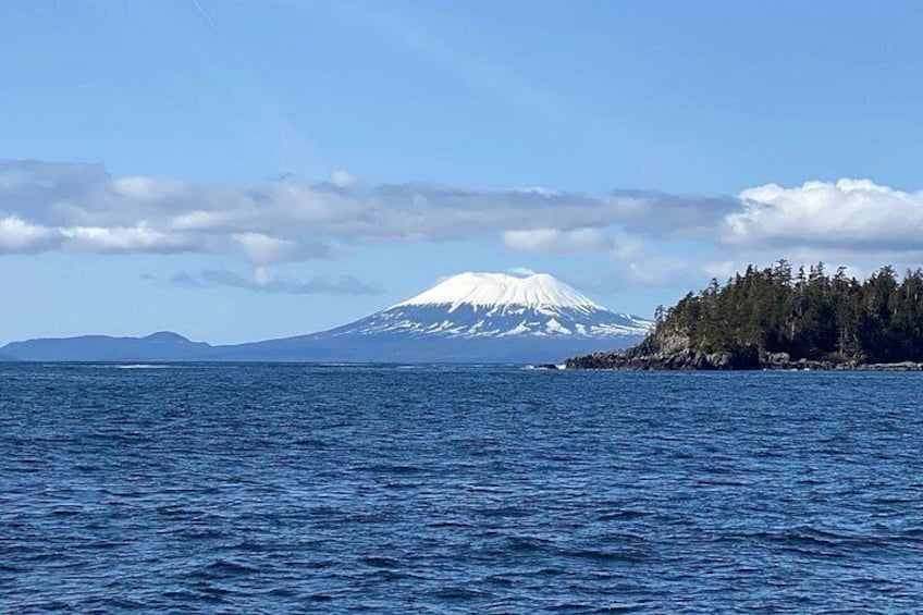 Incredible scenic views. Mt Edgecumbe 5