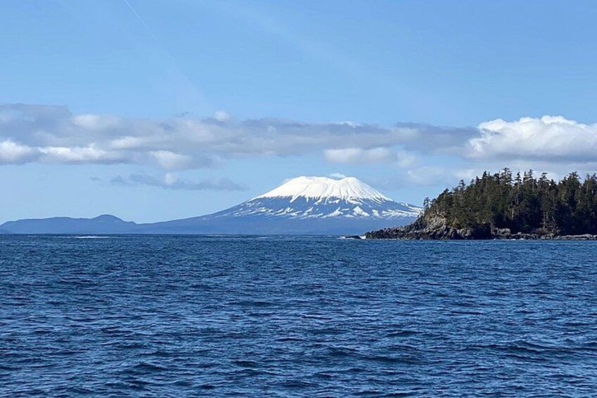 Incredible scenic views. Mt Edgecumbe 5