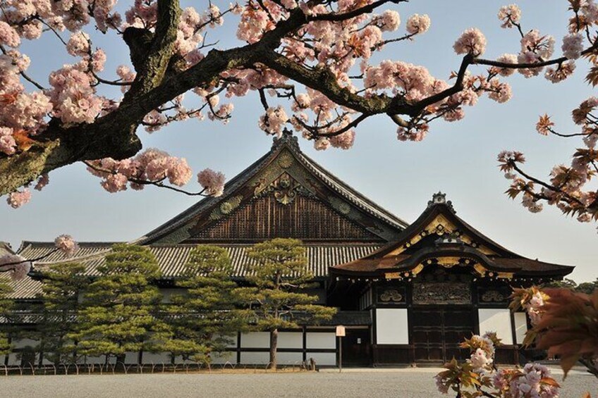 Un bâtiment traditionnel japonais, avec un toit recouvert de tuiles et des cerisiers en fleurs au premier plan. 3