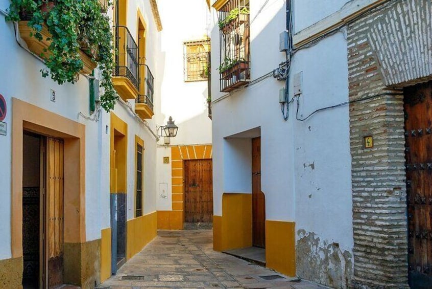 Un estrecho callejón con edificios de color amarillo y blanco, puertas de madera y un muro de ladrillo. 2