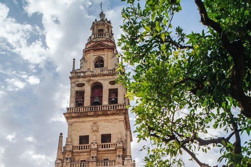 Cordoba Day Trip : A Journey Through History from Malaga 2