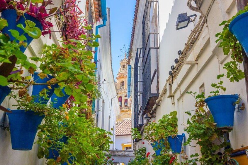 Une rue étroite, bordée de bâtiments des deux côtés, dont certains arborent des volets bleus et sont ornés de plantes en pot. 1