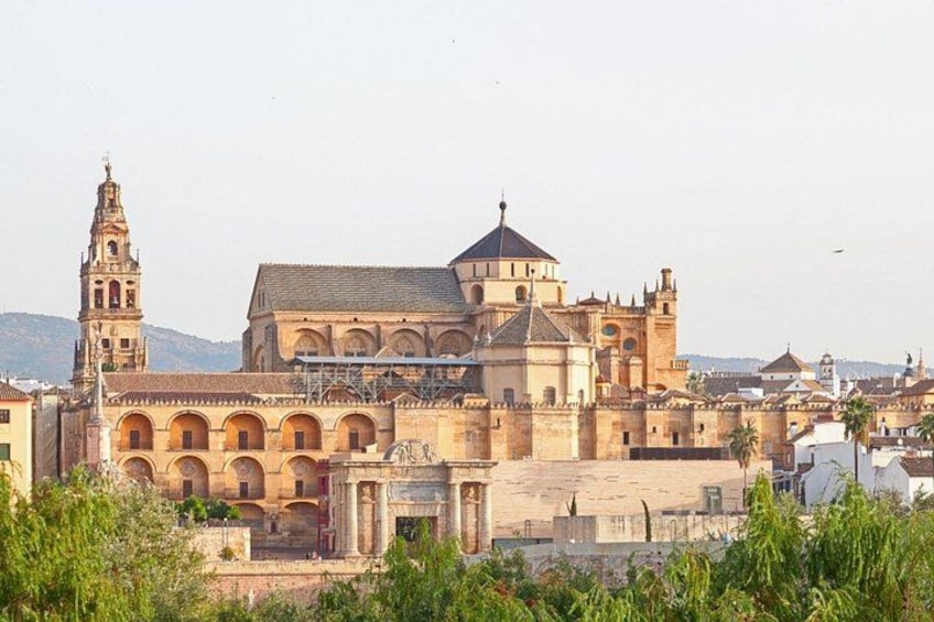 Cordoba Day Trip : A Journey Through History from Malaga 3