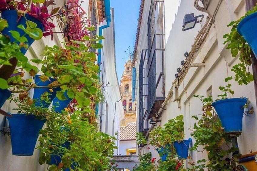 Cordoba Day Trip : A Journey Through History from Malaga 4