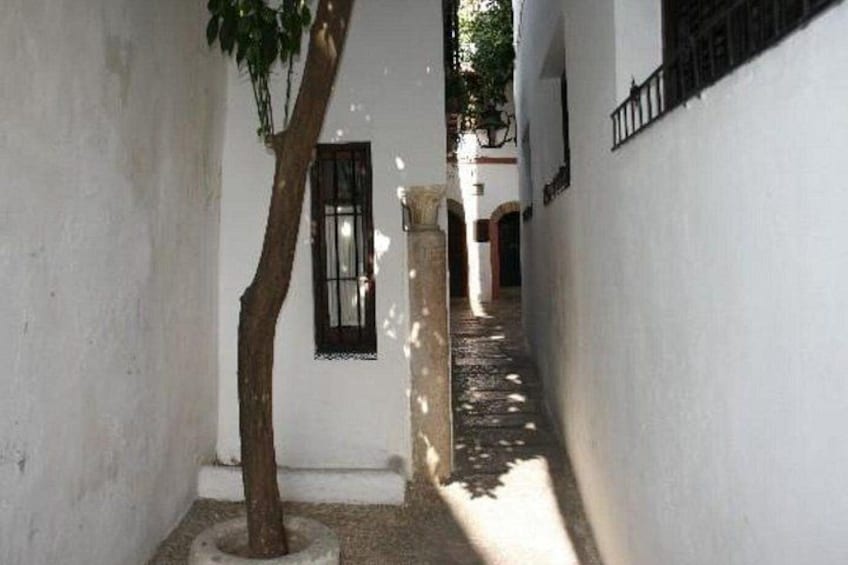 Cordoba Day Trip : A Journey Through History from Malaga 4