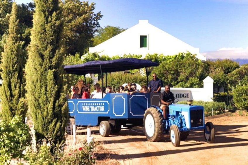 Stellenbosch Wine Tractor hop-on-hop off wine tasting tour 1