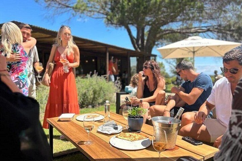 Stellenbosch Wine Tractor hop-on-hop off wine tasting tour 2