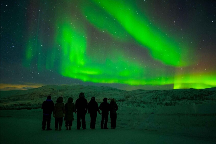 Picture 21 for Activity Levi: Northern Lights Tour with Guaranteed Sightings 2