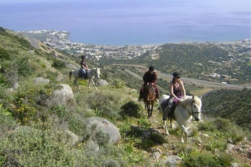 Three people horseback riding on a grassy hillside with a coastal view in the background. 1