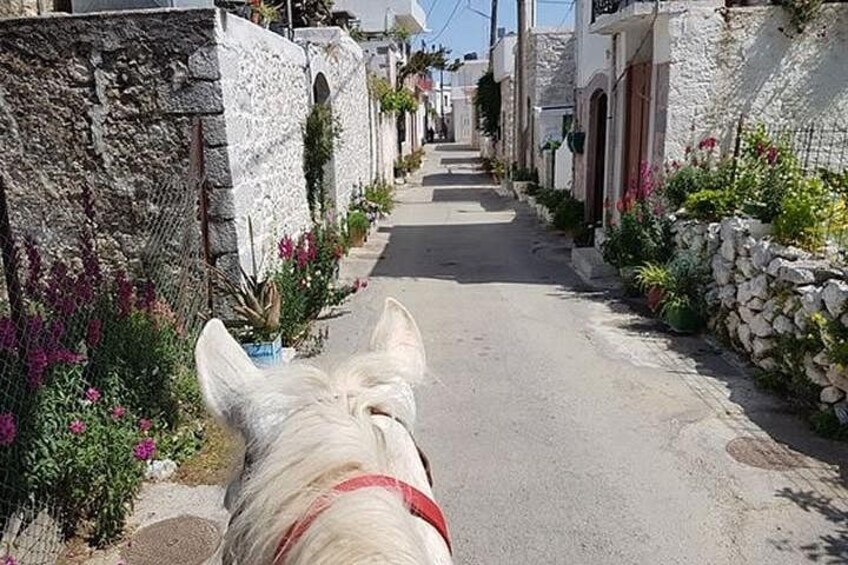 HORSE RIDING 1.5 hours mountains from area Hersonissos CRETE 2