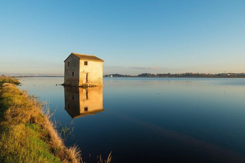 Albufera Private Day Tour: Paella, Boat Cruise and Nature Walk 1