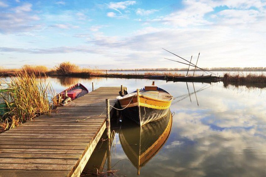 Albufera Private Day Tour: Paella, Boat Cruise and Nature Walk 4