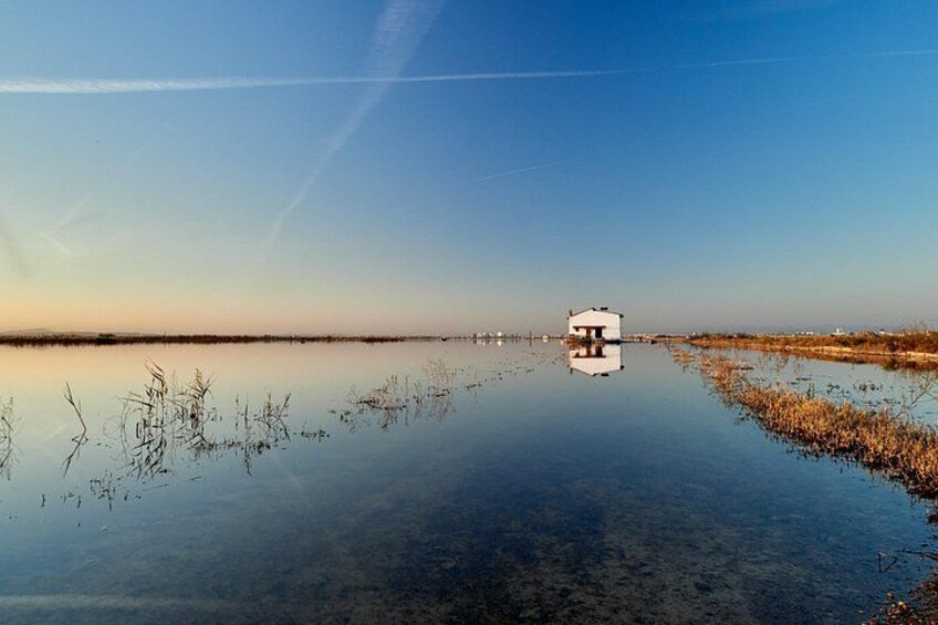 Albufera Private Day Tour: Paella, Boat Cruise and Nature Walk 2
