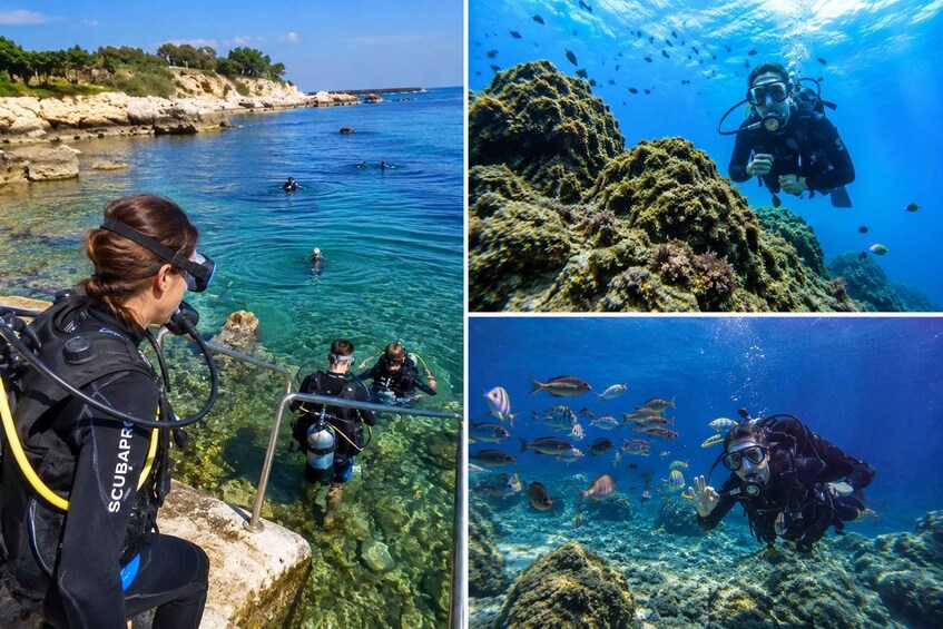 Didim: Scuba Diving Experience w/Hotel Pickup & Lunch 1