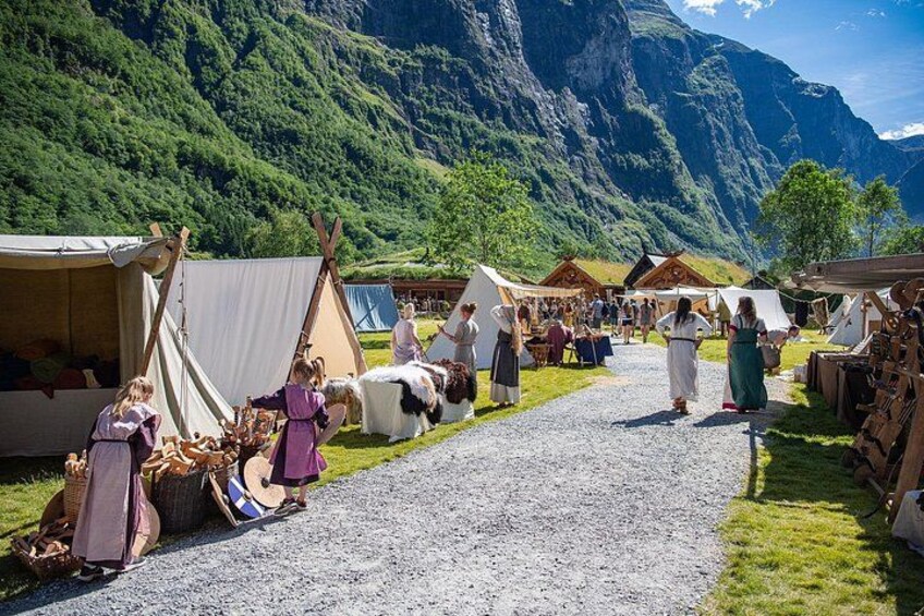 Private Day Tour Nærøyfjord Cruise, Viking Village, Flåm Railway 1