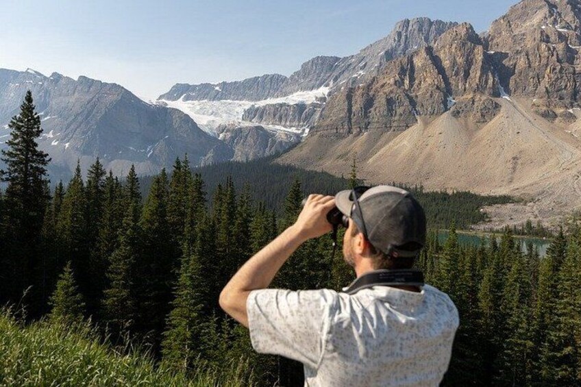 Icefields Parkway: Peyto Lake, Bow Lake & Columbia Icefield 2
