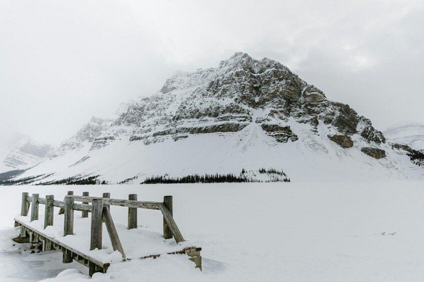 Icefields Parkway: Peyto Lake, Bow Lake & Columbia Icefield 4