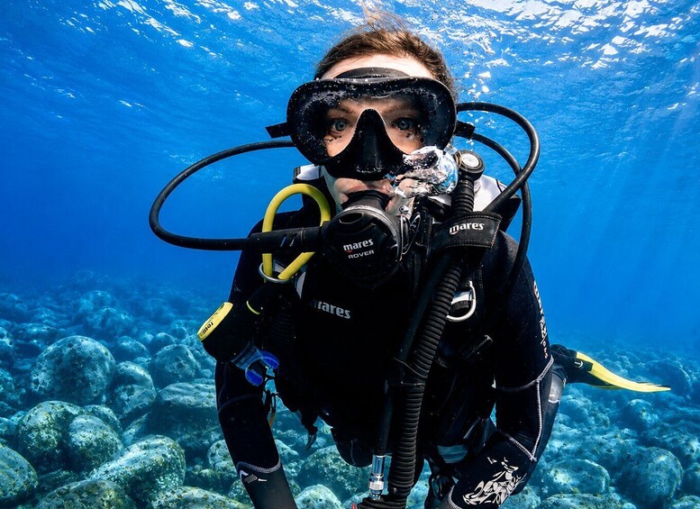 A person scuba diving underwater with a black wetsuit and a diving mask. 5