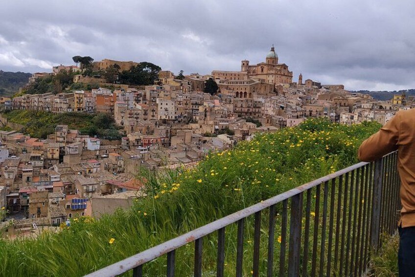 Un paisaje urbano con un edificio destacado en una colina, una zona densa debajo y una barandilla con flores silvestres al frente. 4