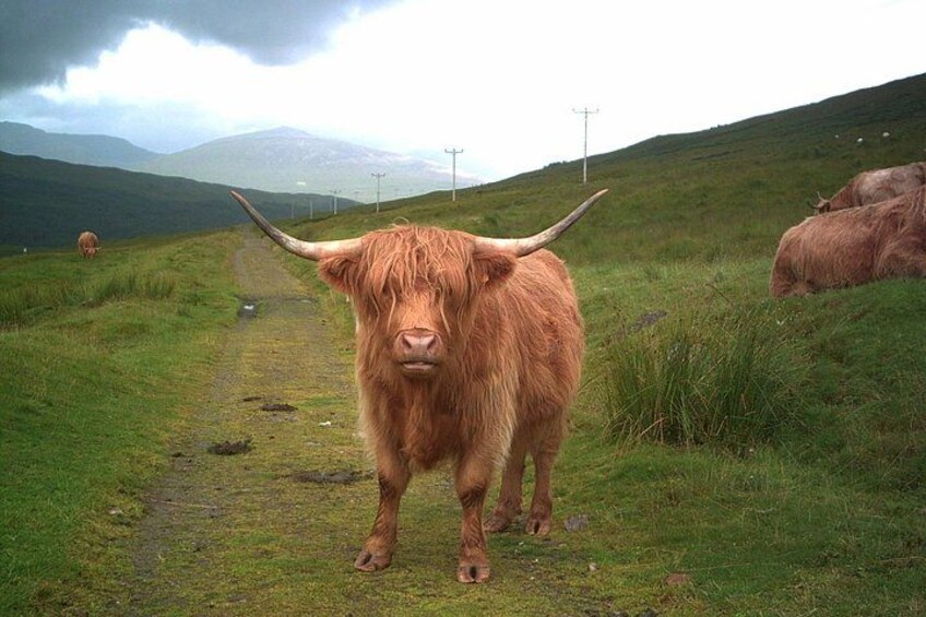 Edinburgh: Private Loch Ness Glencoe and The Highlands Tour 3