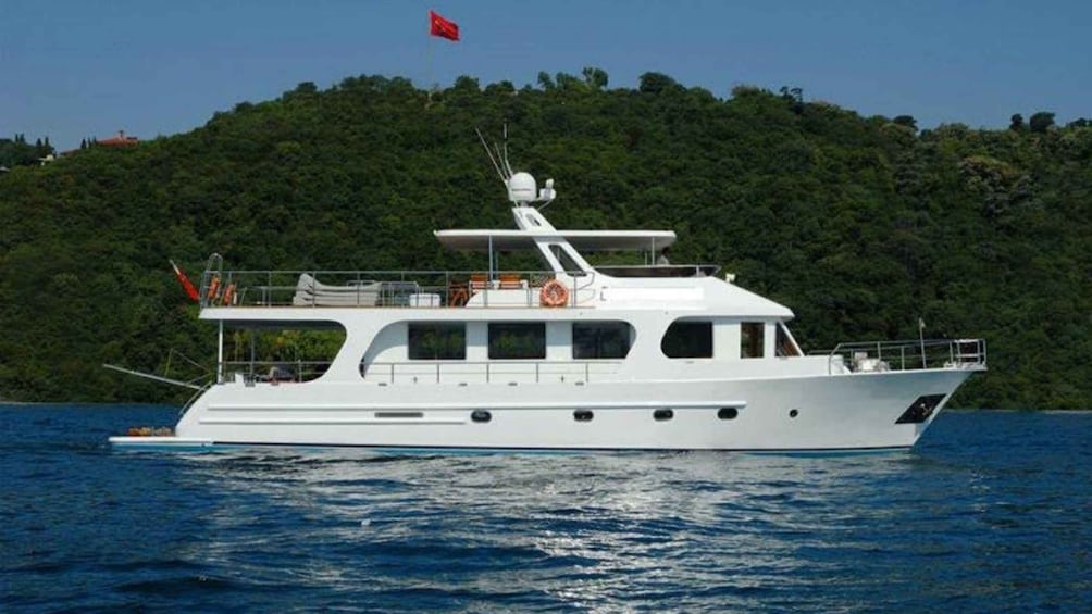 Picture 38 for Activity Istanbul Bosphorus Sunset Cruise on Yacht with Live Guide 3