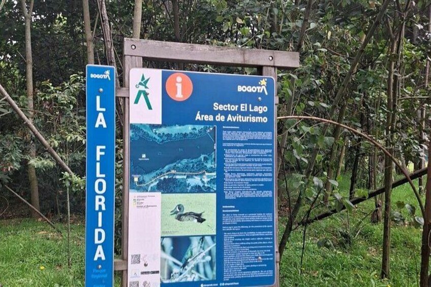 Bird watching in Bogota wetlands with Bakata Bird 4