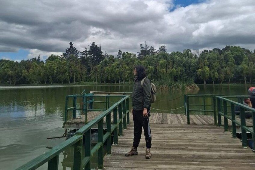 Bird watching in Bogota wetlands with Bakata Bird 5