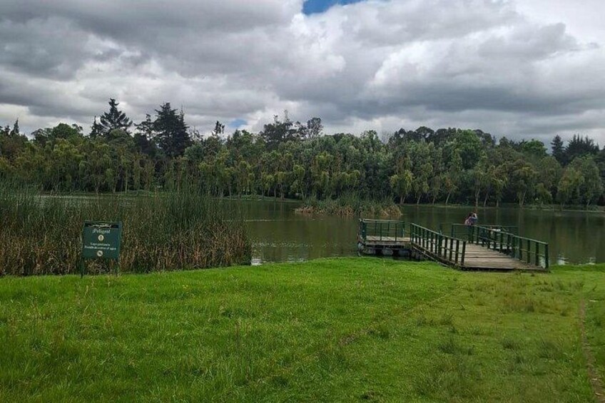 Bird watching in Bogota wetlands with Bakata Bird 2
