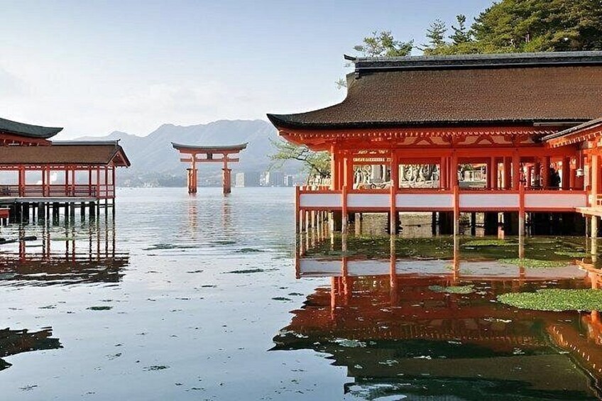 4 Hour Guided Hiroshima Historical Sites and Local Friendly Tour 5