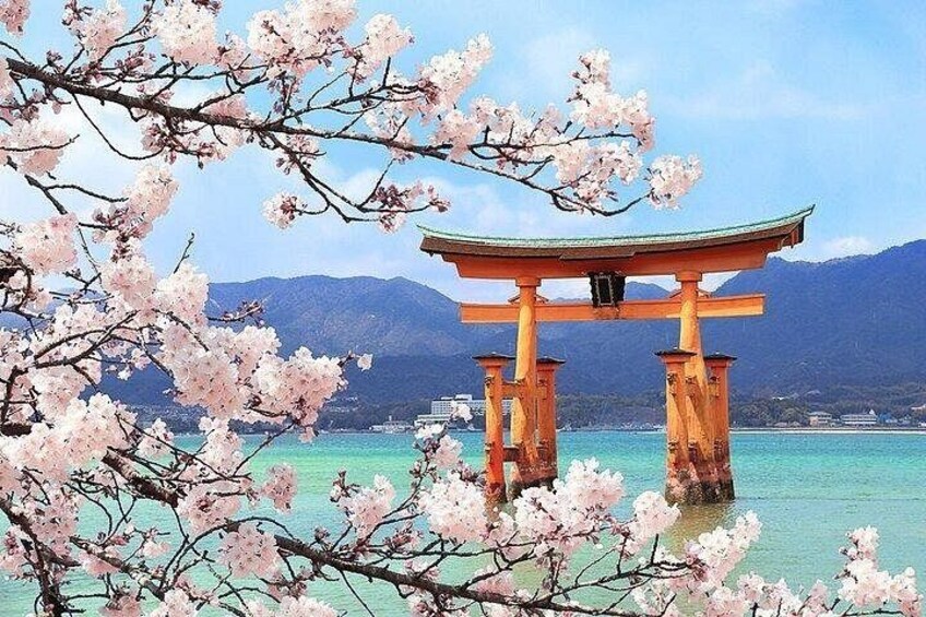 4 Hour Guided Hiroshima Historical Sites and Local Friendly Tour 2