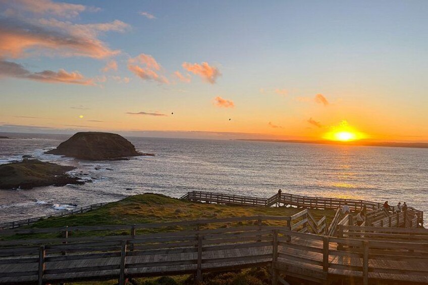 Puffing Billy and Phillip Island Day Tour(Melbourne Chinese Tour) 4