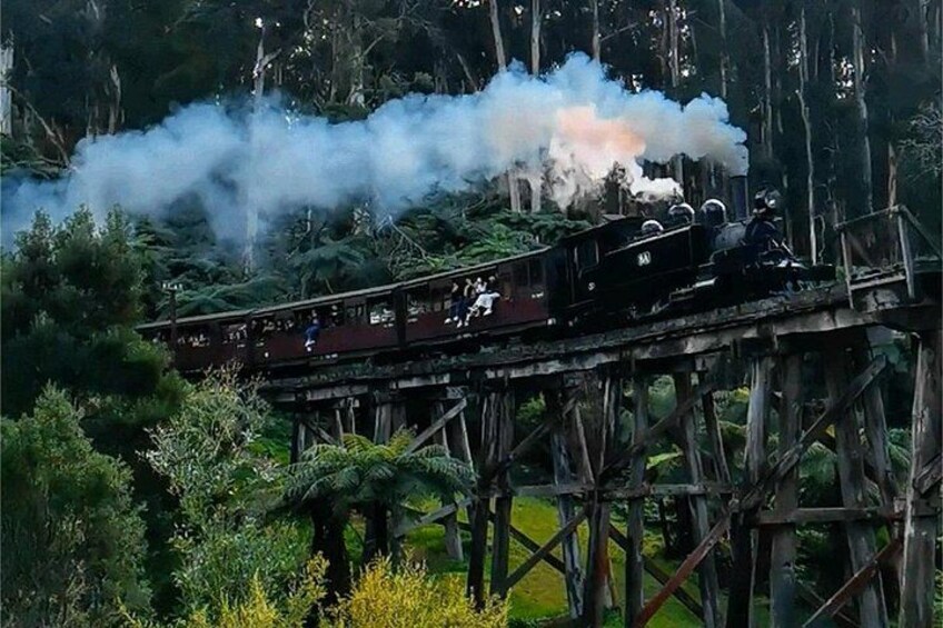 Puffing Billy and Phillip Island Day Tour(Melbourne Chinese Tour) 2