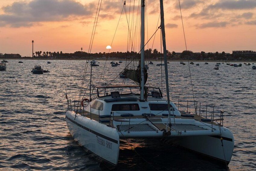 Catamaran Half Day - Beautiful day on the Atlantic Ocean 2