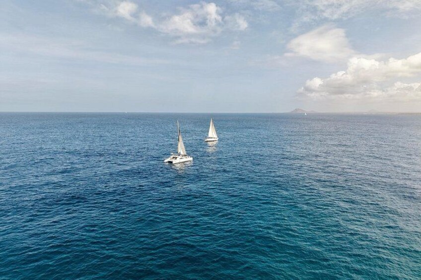 Catamaran Half Day - Beautiful day on the Atlantic Ocean 5