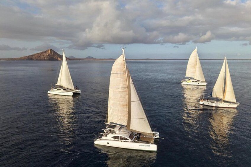 Catamaran Half Day - Beautiful day on the Atlantic Ocean 4