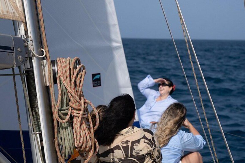Full day Sailing yacht - Beautiful day on the Atlantic Ocean 2